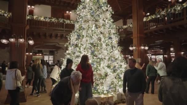 Όμορφη Φωτεινό Λευκό Φωτισμένο Χριστουγεννιάτικο Δέντρο Διακόσμηση Στο Hotel Del — Αρχείο Βίντεο