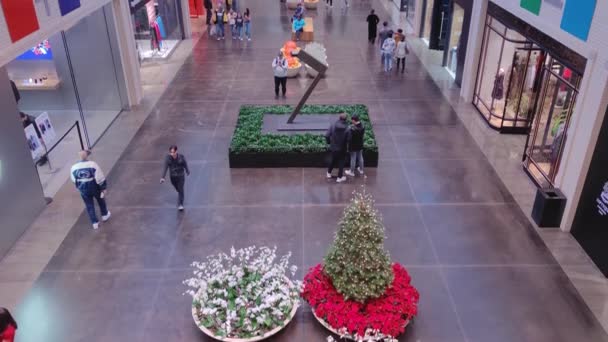 Wewnątrz Northpark Center Shopping Mall Boże Narodzenie Nowy Rok Holiday — Wideo stockowe