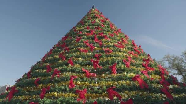 光天化日下装饰着红带和金带的巨大圣诞树 — 图库视频影像