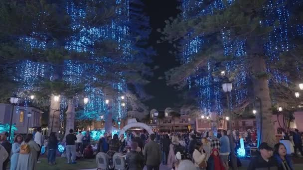 Spektakulära Norfolk Island Pines Light Show Elektriskt Ljus Utomhus Julgran — Stockvideo