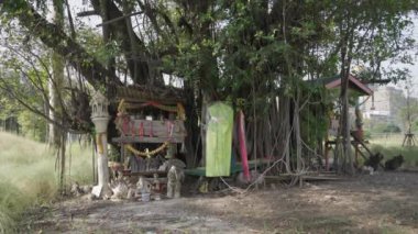 Thai Offerings to God in Thailand Tree Spirit