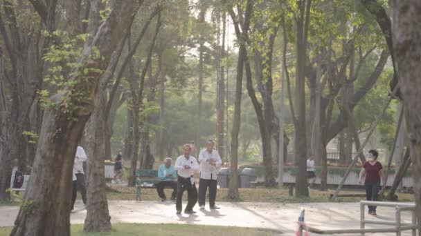 Old People Exercise Morning Gong Tai Chi Lumphini Lumpini Lumpinee — Stockvideo