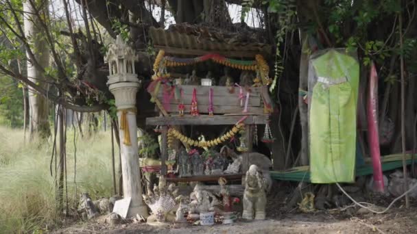Thai Offerings God Thailand Tree Spirit — Stok video