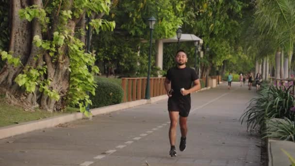 Active Fit Healthy Asian Man Running Park Jogging Track Slow — Stock video