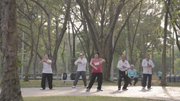 Old People Exercise Morning Gong Tai Chi Lumphini Lumpini Lumpinee — Stockvideo