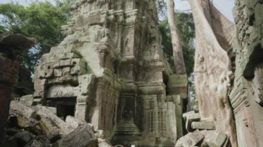 Ta Prohm Temple Bayon Style in Angkor Archeological Park - Tree Roots Over Stones, Probing Walls and Terraces Apart