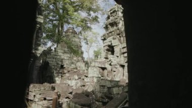 Ta Prohm Temple Bayon Style in Angkor Archeological Park - Tree Roots Over Stones, Probing Walls and Terraces Apart