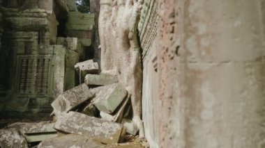 Ta Prohm Temple Bayon Style in Angkor Archeological Park - Tree Roots Over Stones, Probing Walls and Terraces Apart
