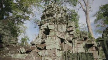 Ta Prohm Temple Bayon Style in Angkor Archeological Park - Tree Roots Over Stones, Probing Walls and Terraces Apart