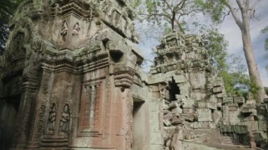 Ta Prohm Temple Bayon Style in Angkor Archeological Park - Tree Roots Over Stones, Probing Walls and Terraces Apart