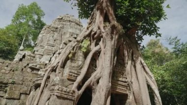 The Khmer temple of Ta Som - Tree growing atop the historical main gateway