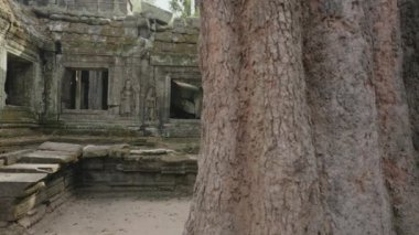 Ta Prohm Temple Bayon Style in Angkor Archeological Park - Tree Roots Over Stones, Probing Walls and Terraces Apart