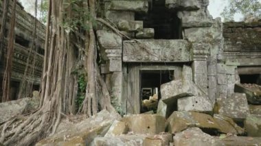 Ta Prohm Temple Bayon Style in Angkor Archeological Park - Tree Roots Over Stones, Probing Walls and Terraces Apart