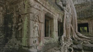 Ta Prohm Temple Bayon Style in Angkor Archeological Park - Tree Roots Over Stones, Probing Walls and Terraces Apart