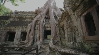 Ta Prohm Temple Bayon Style in Angkor Archeological Park - Tree Roots Over Stones, Probing Walls and Terraces Apart