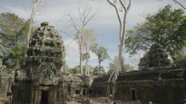 Ta Prohm Temple Bayon Style in Angkor Archeological Park - Tree Roots Over Stones, Probing Walls and Terraces Apart