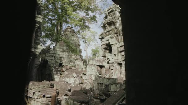Prohm Temple Bayon Style Angkor Archeological Park Tree Roots Stones — Stock Video