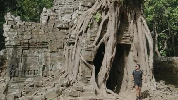 Khmer Temple Som Tree Growing Atop Historical Main Gateway — Stock video