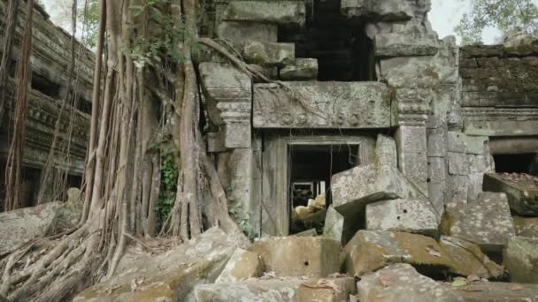 Prohm Temple Bayon Style Angkor Archeological Park Tree Roots Stones — 图库视频影像