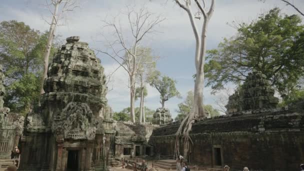 Prohm Temple Bayon Style Angkor Archeological Park Tree Roots Stones — Stock video