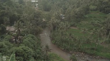 Ubud Bali 'deki Sayan Point' ten Yeşil Bereketli Orman, Nehir ve Ricefield 'ın nefes kesici manzarası