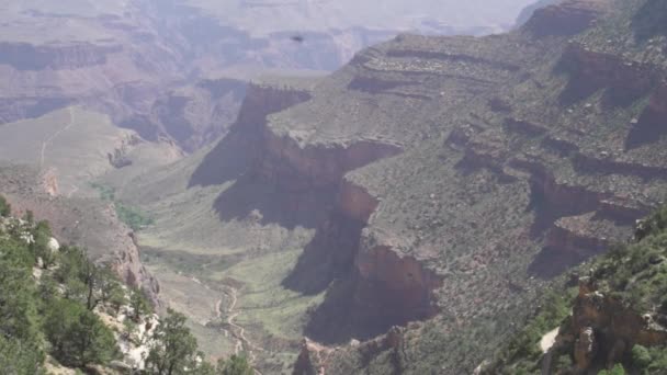 Grand Canyon National Park Arizona Con Sue Fasce Stratificate Roccia — Video Stock