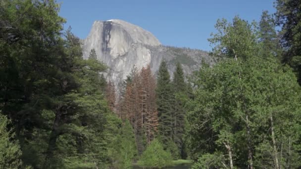 Half Dome Batólito Monzonita Quartzo Extremo Leste Vale Yosemite Parque — Vídeo de Stock