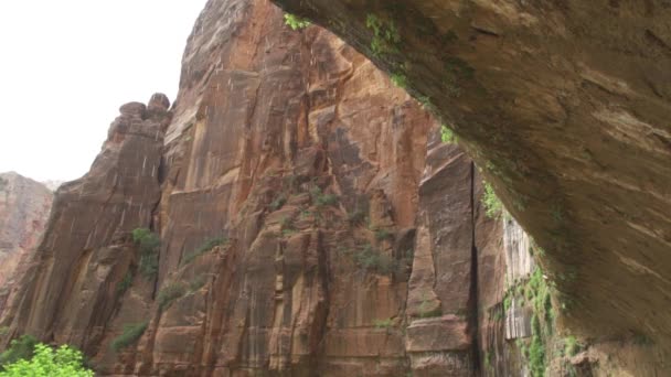 Utah Güneybatısındaki Zion Ulusal Parkı — Stok video
