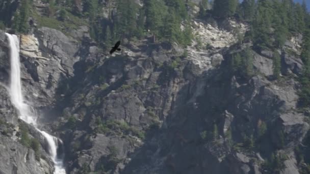 Sentinel Falls Long Series Cascades Descending Yosemite Valley Alongside Sentinel — Stock Video