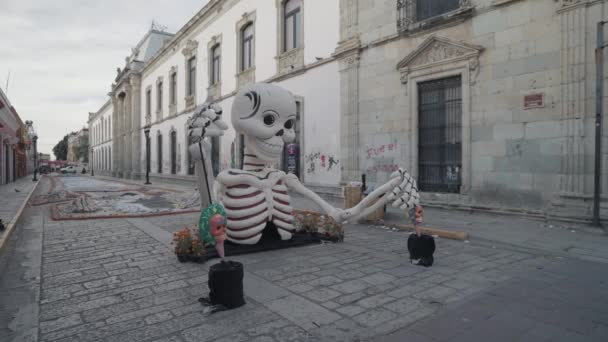 Skeletons Skulls Display Line Streets Day Dead Festival Dia Los — Video