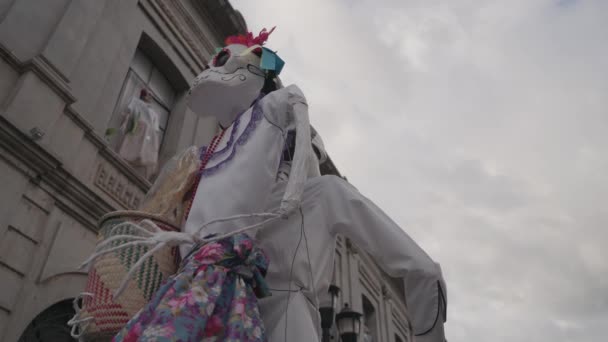 Skeletons Skulls Display Line Las Calles Durante Día Muertos Festival — Vídeos de Stock