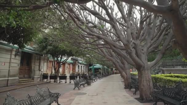 Jardn Unin Union Garden Guanajuato Mexico Charmant Stadspark Met Verzorgde — Stockvideo
