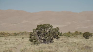 Great Sand Dunes Ulusal Parkı, Colorado 'nun güneyinde yer alır. Büyük kum tepeleriyle bilinir.