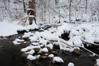 kapalı orman dağlarda kar