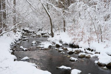 kapalı orman dağlarda kar