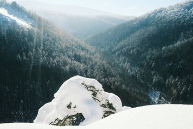 Dağlarda karla kaplı ağaçlar. Doğa arkaplanı