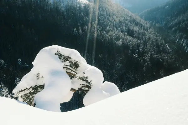 Karla Kaplı Dağlarla Kaplı Güzel Kış Manzarası — Stok fotoğraf