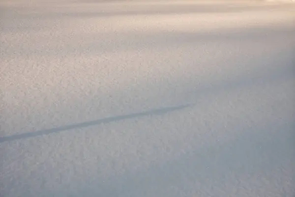 冬季的背景 白雪覆盖 新鲜的雪白质感 — 图库照片
