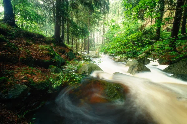 Schöner Fluss Wald Hintergrund Natur — Stockfoto
