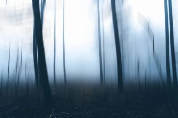 Nebbia Scura Nella Foresta Sfondo Naturale Astratto — Foto Stock