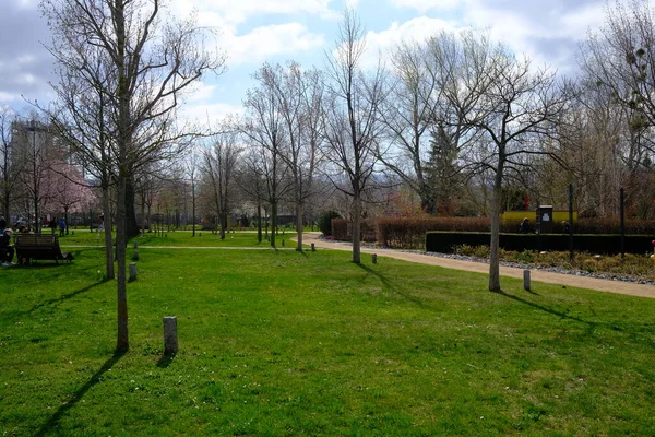 Belle Vue Sur Parc Ville Été — Photo