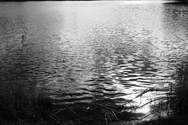 Sakin Göl Yüzeyi Siyah Beyaz — Stok fotoğraf