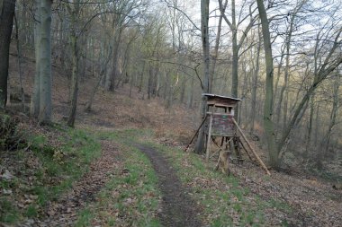 Ormanda ahşap av platformu