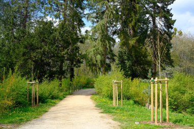 Parkta dar bir yol için güzel bir kare. Doğa arkaplanı