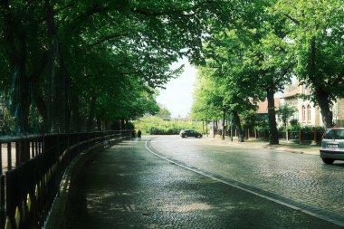 Almanya 'nın güzel yaz sokağı manzarası