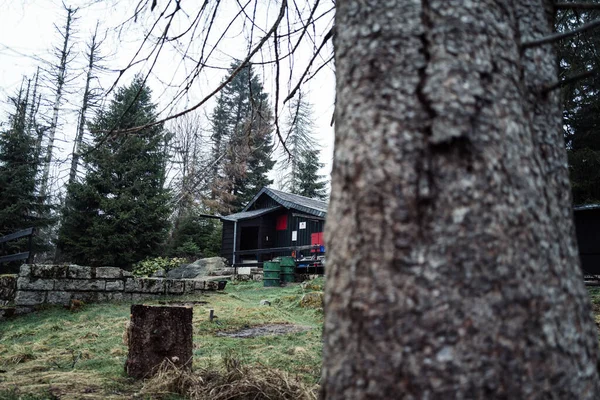 Malá Dřevěná Chata Horském Lese — Stock fotografie