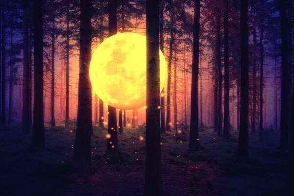 Mysterious night forest with full moon
