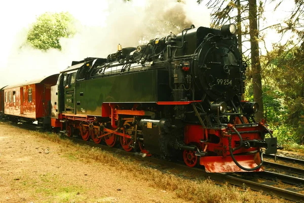Locomotive Vapeur Avec Fumée Déplaçant Dans Forêt — Photo
