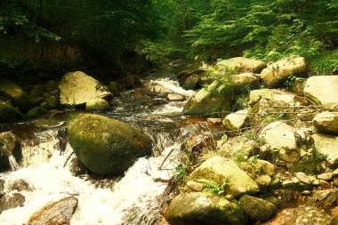 Ormanda güzel bir şelale, doğa geçmişi