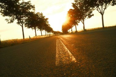 Kırsal alanda gün batımında boş asfalt yol
